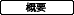 概要